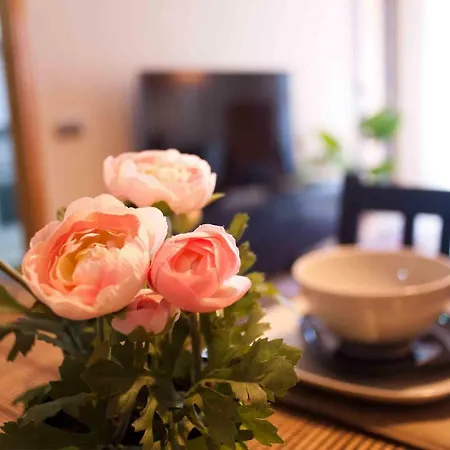 Alcam Barbera Terrazas *