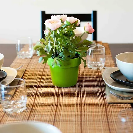 Alcam Barbera Terrazas Barbera del Valles